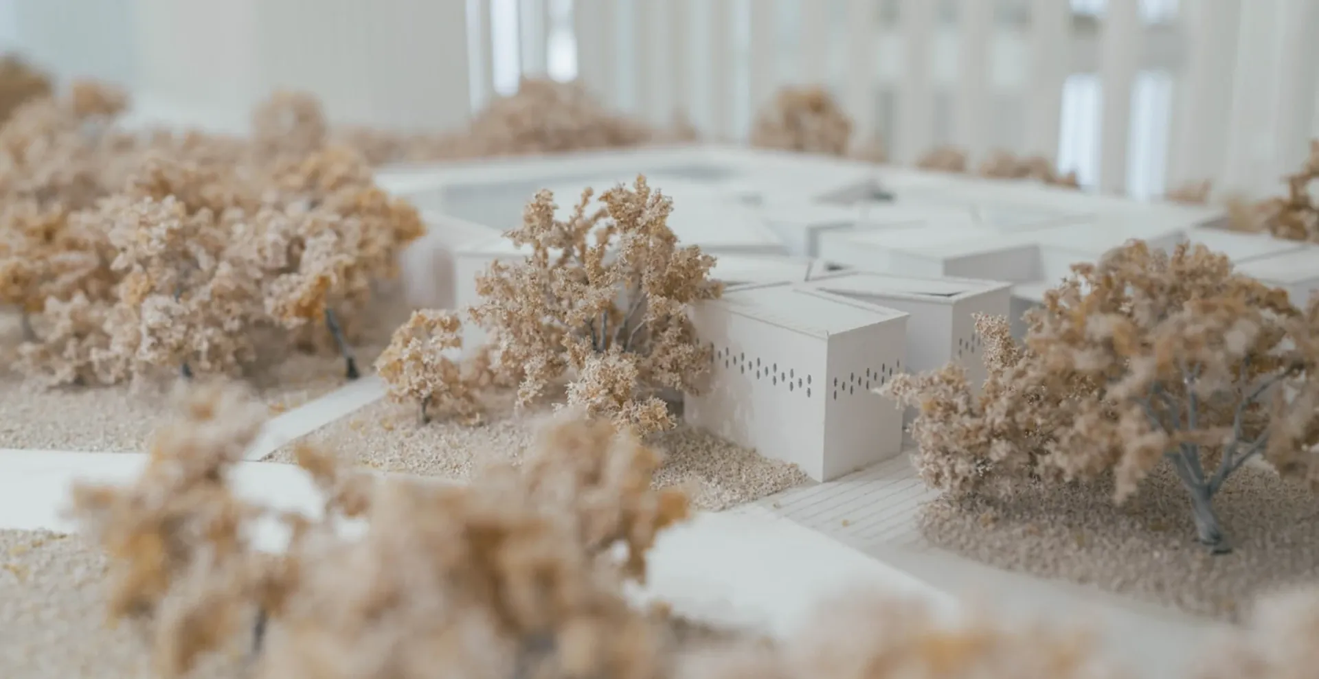 Plastico architettonico bianco in scala con alberi in miniatura e profondità di campo ridotta