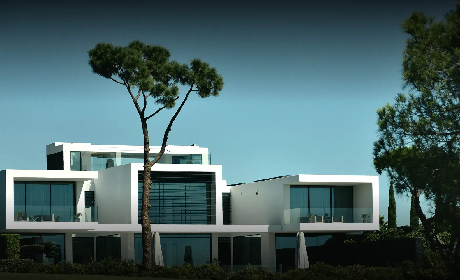 Villa moderna bianca a volumi orizzontali con grandi pini in primo piano e cielo profondo
