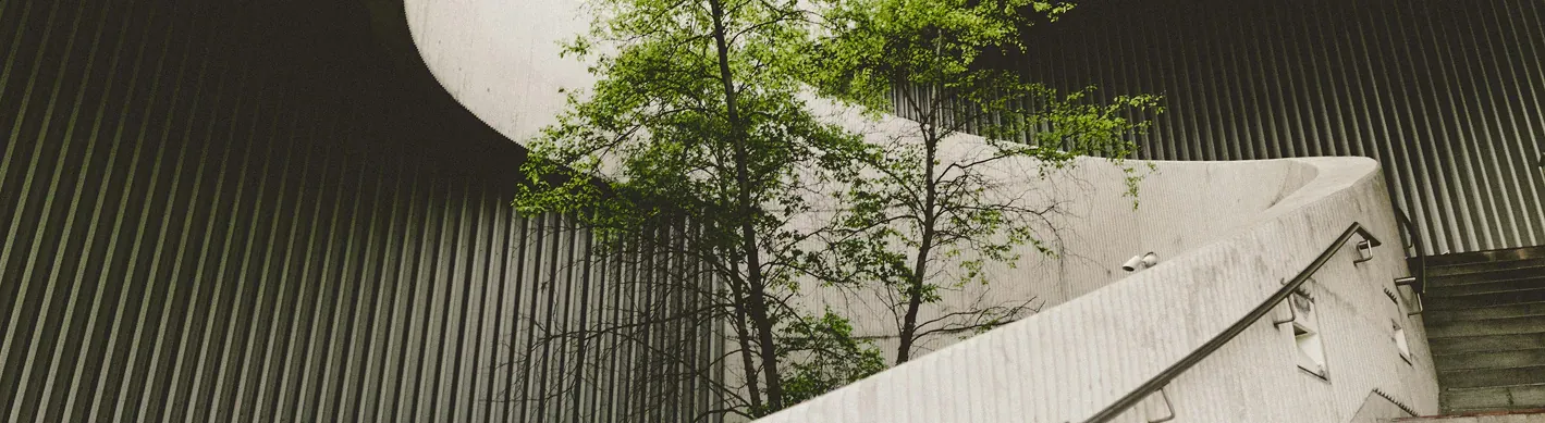 Architettura in cemento dalle linee curve con alberi e facciata a doghe scure